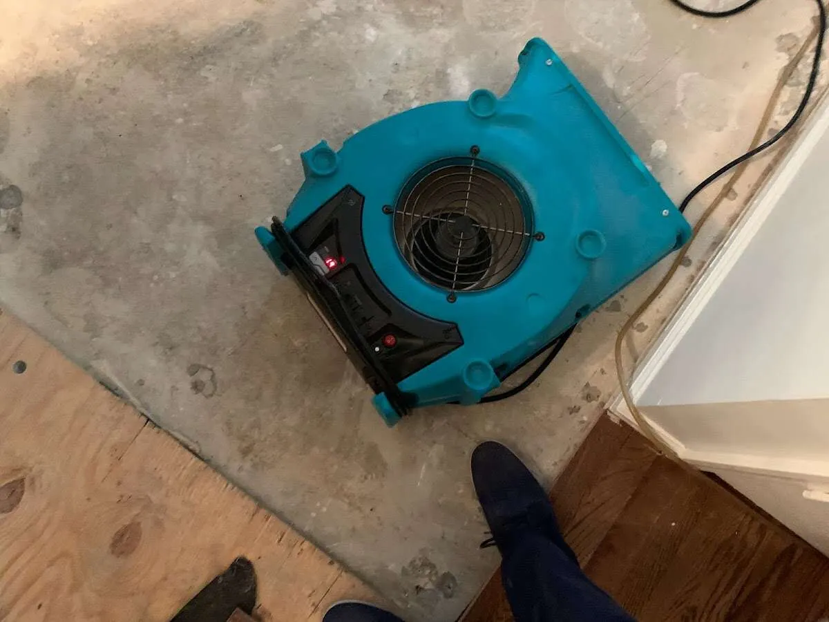 Air mover drying subfloor during Leak Detection & Repair in Foothill Farms